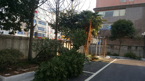 布线案例